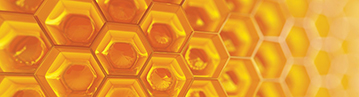 SIG honeycomb